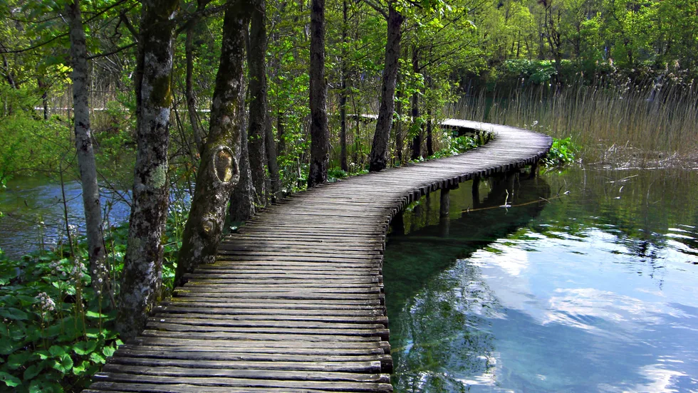 Psychotherapie, Beratung & Coaching – Foto 1