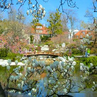 Gallery Foto