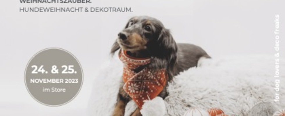 Weihnachtszauber. Hundeweihnacht & Dekotraum
