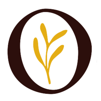 Ocker Studio | DIY-Workshops