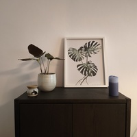 Gallery Foto