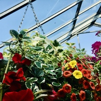 Gallery Foto