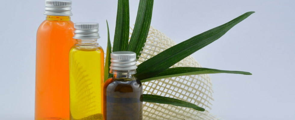 Kurs: Salben & Tinkturen