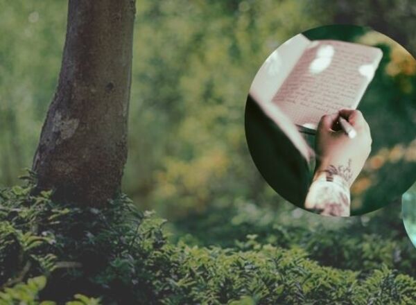 Forest Journaling Workshop in Graz