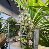 Gallery Foto