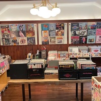 Gallery Foto