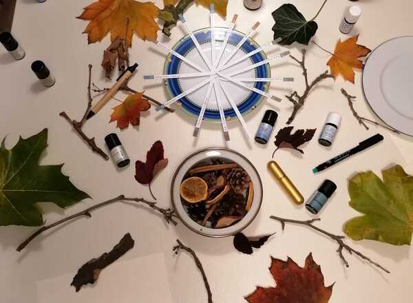 Workshop "Waldbaden zuhause"