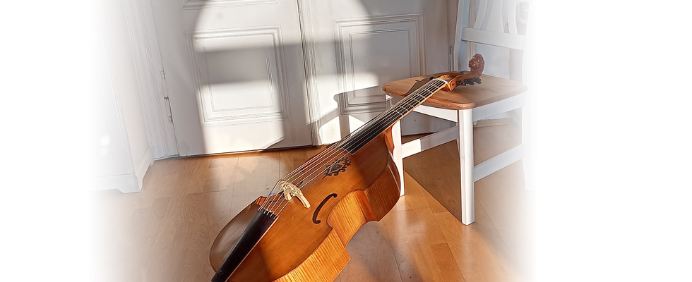 Viola da gamba Unterricht