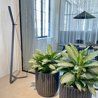 Gallery Foto