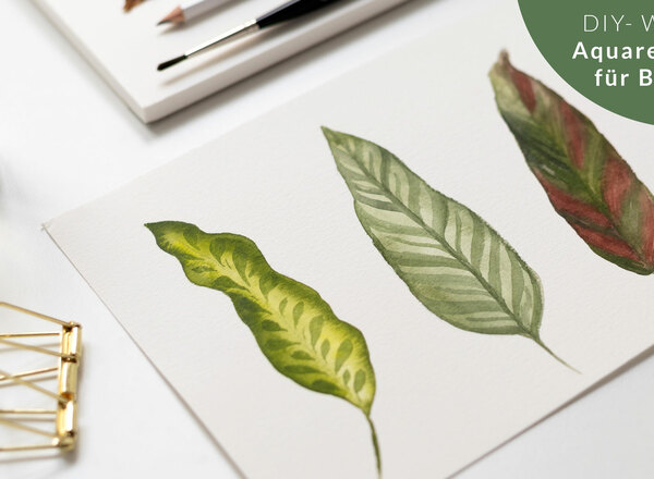 DIY-Workshop: Aquarellmalerei für Anfänger*innen