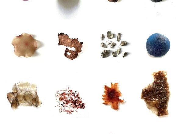 Loana Flores: Memory Labatory