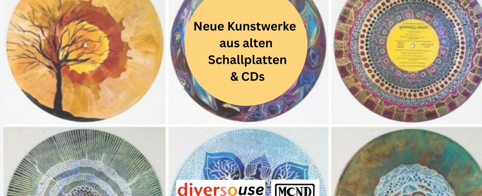 DIVERSOuse Workshop