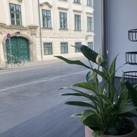 Gallery Foto