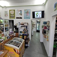 Gallery Foto