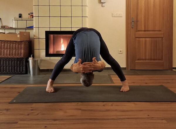 Yogastart 2023 - Yoga für Anfänger:innen