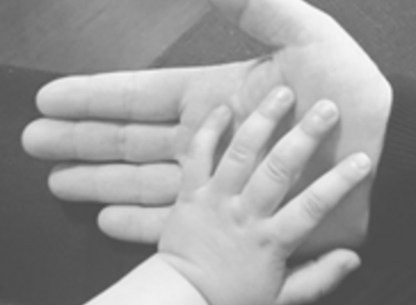 Montessori Workshops