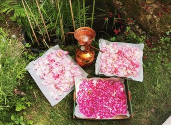 Workshop: Rose, die Königin der Blumen - ein Nachmittag für die Seele