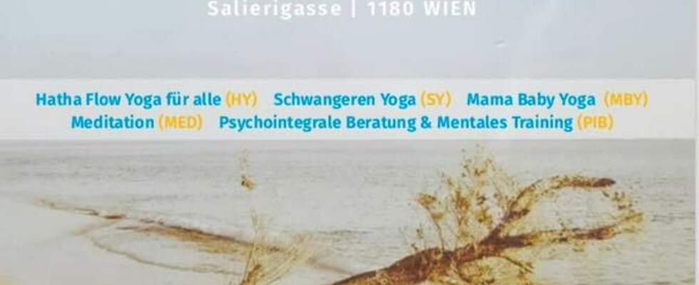 Yoga für alle (Hatha) plus Schwangere und Babys