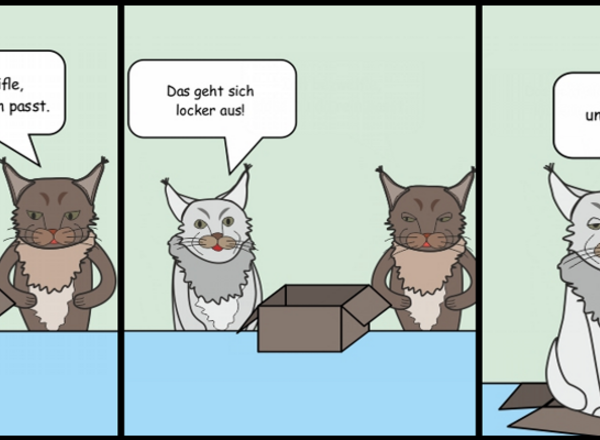 Schachtelkatzen Geschenkideen e.U.