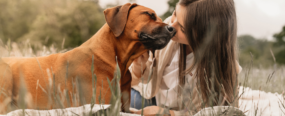 Fotografie für Mensch & Hund