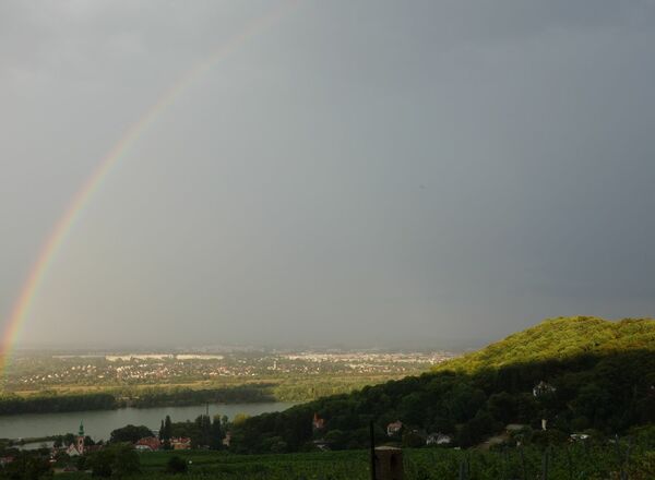 Online-Infoabend: Stressbewältigung durch Achtsamkeit (MBSR)
