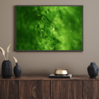 Gallery Foto