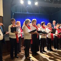 Gallery Foto