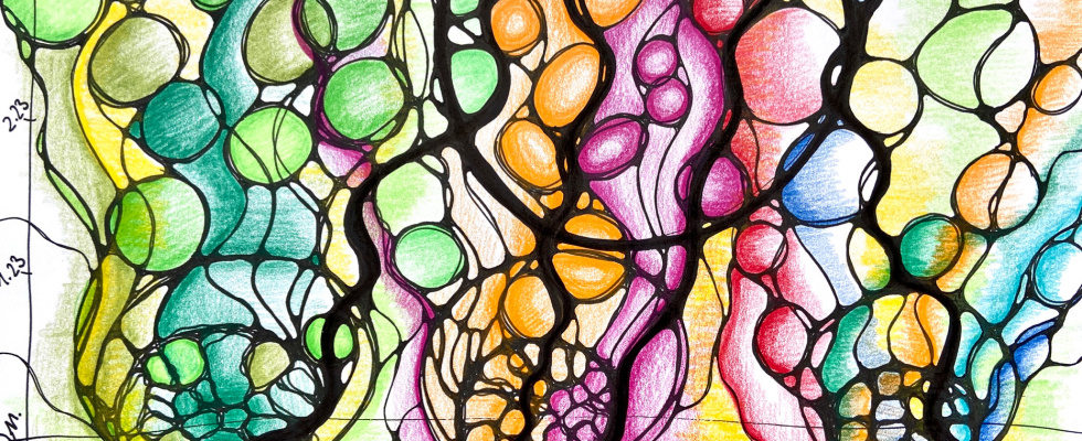 NeuroGraphik Workshop