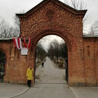Gallery Foto