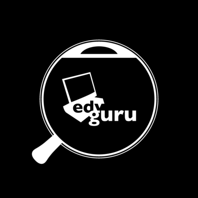 EDV-Guru