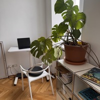 Gallery Foto