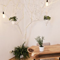 Gallery Foto
