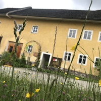 Gallery Foto