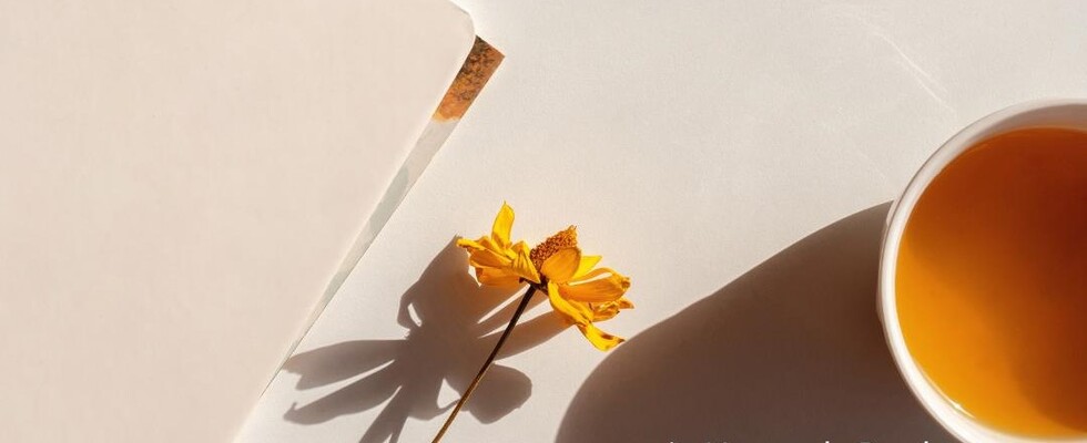 Mindfulness Class - Achtsam leben im Hier & Jetzt