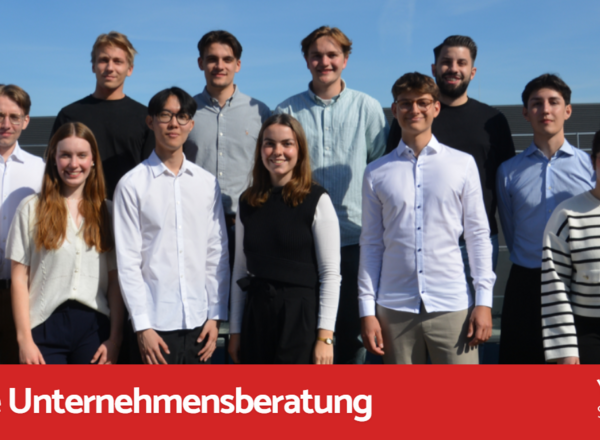 YoungPro Consulting