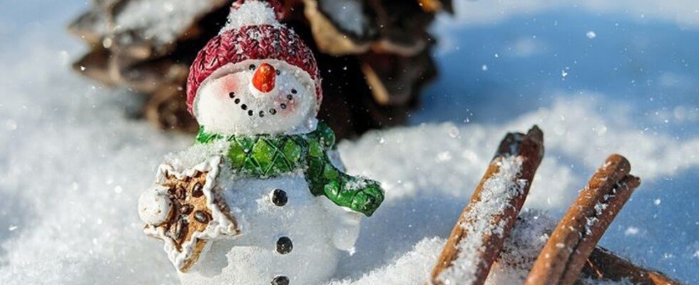 Spielgeschichte - Schneemanns Winterreise