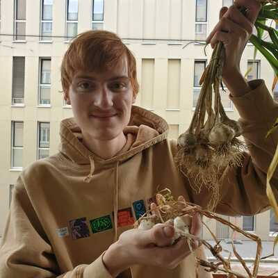 Domi's Stadtwurmfarm