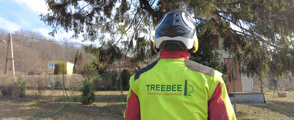 TreeBee Baumschnitt und Höhenarbeit GmbH