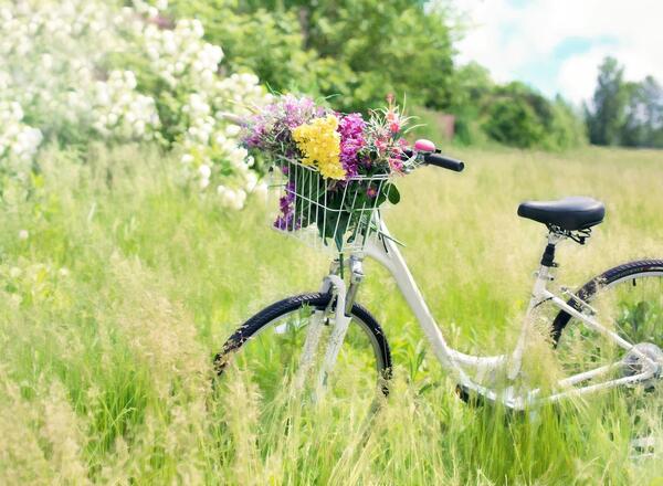 Check your bike: Fahrrad-Reparatur-Workshop