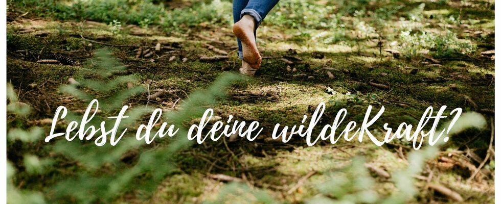 wildeKraftsein Coaching - Annika Wild