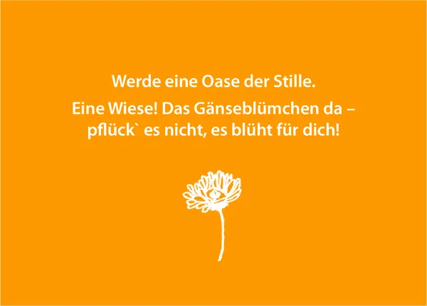 Ankommen im Wandel - Selbstliebe & Teamkultur – Foto 6