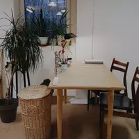 Gallery Foto