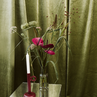 Gallery Foto