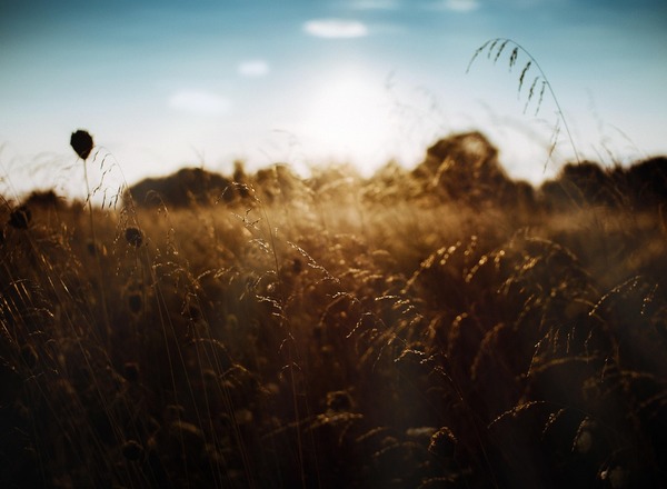 Psychotherapie  Mag.a  Simone Kekeisen 