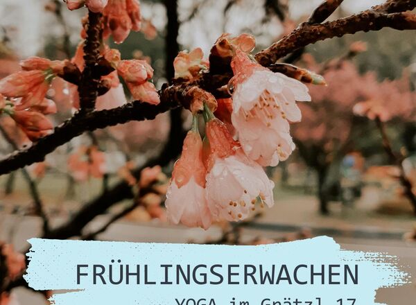 FRÜHLINGSERWACHEN pop-up Morgenyoga