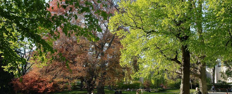 Spaziergang durch den Türkenschanzpark
