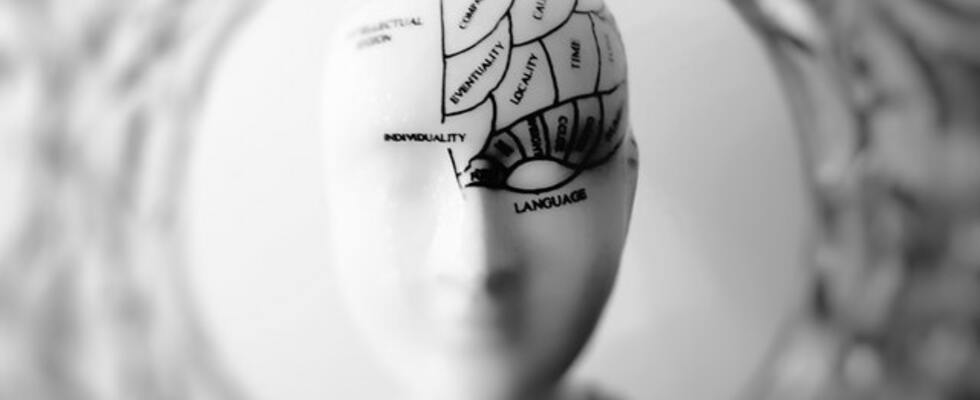 WIE ERKLÄRT DIE NEUROWISSENSCHAFT WAS HINTER DER HEILENDEN KRAFT DER KUNSTTHERAPIE STECKT?