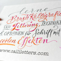 Gallery Foto