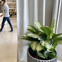 Gallery Foto
