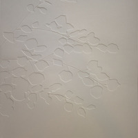 Gallery Foto